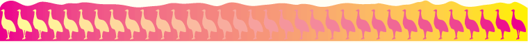 Emu footer